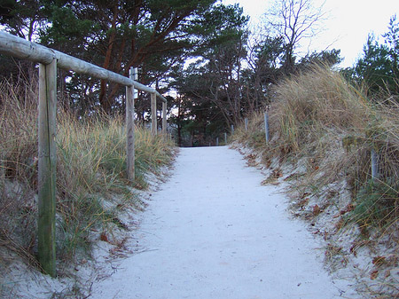 Fotos Strandtor