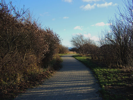Foto Straße
