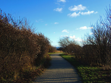 Straße