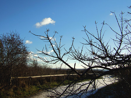 Fotos Weg | 