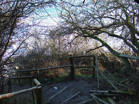 Foto Weg - 