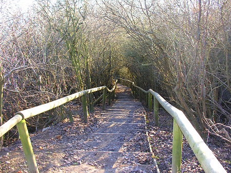 Foto Weg