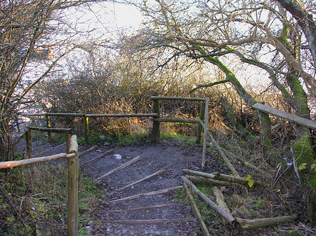 Fotos Weg