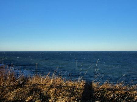 Fotos Wiese mit Meer