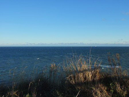 Wiese mit Meer Fotos