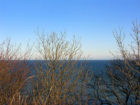 Foto Wiese mit Meer - 