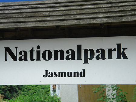 Fotos Nationalpark Jasmund | Sassnitz