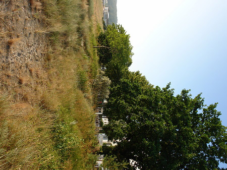 Serien Fotos