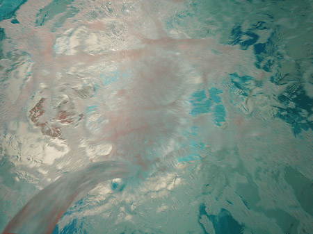 Fotos Pool