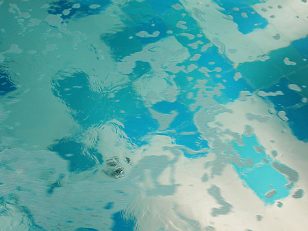 Fotos Pool | 
