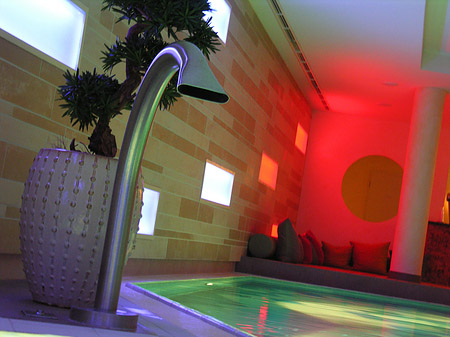 Wellness