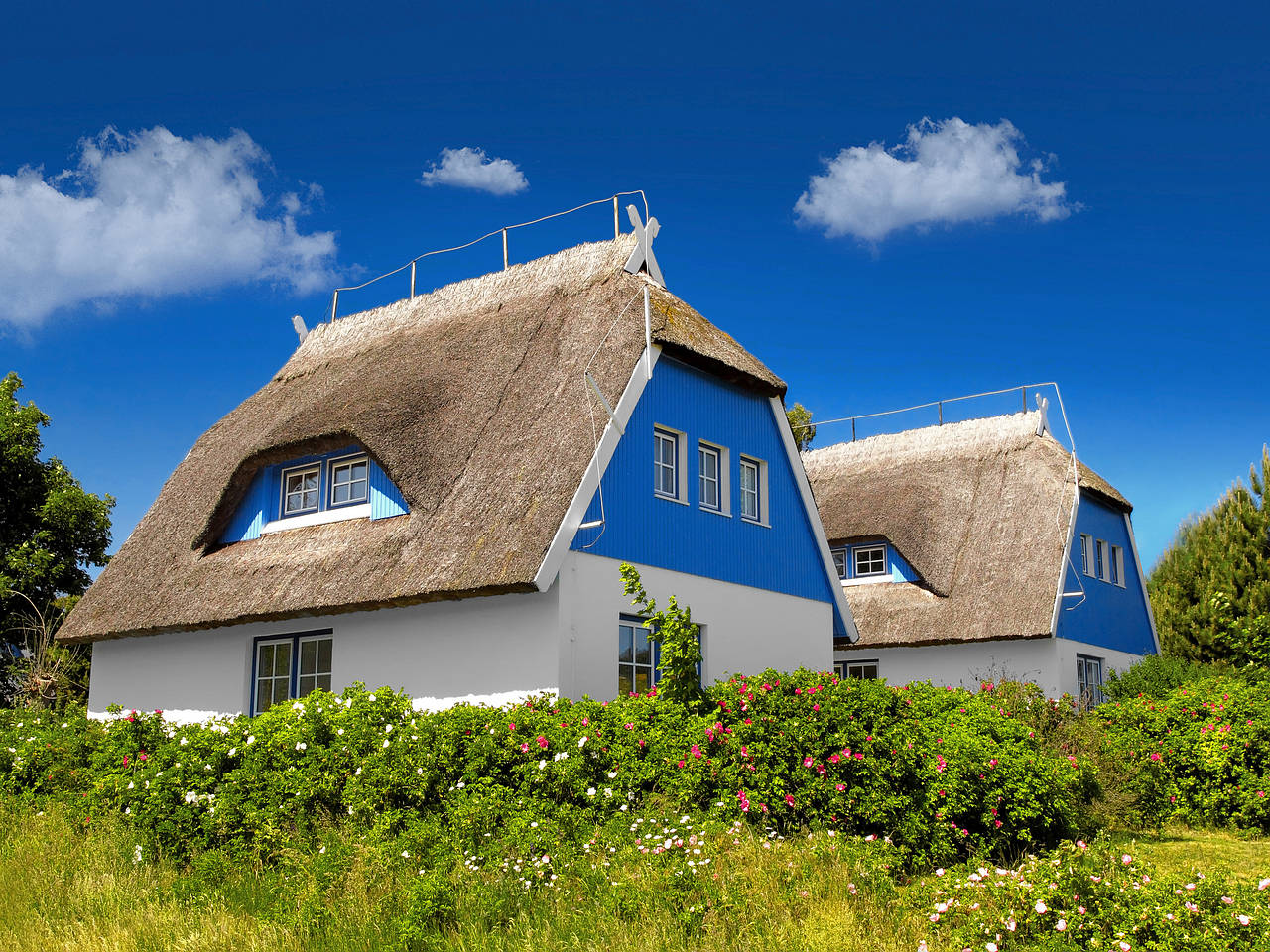 Foto Kurzinfo Rügen